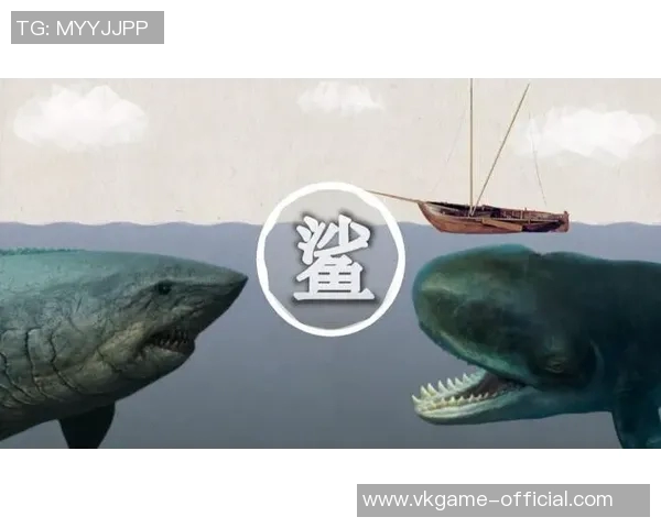 鲨鱼为何对姚明心生畏惧揭秘背后的科学与传说